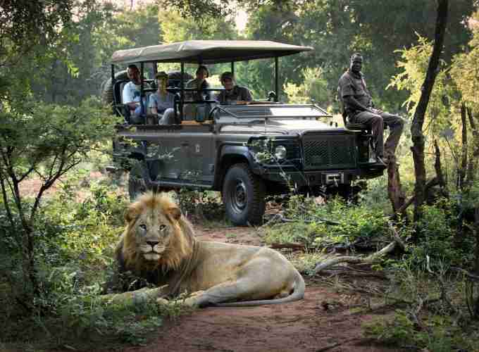 Luxury African Safari moments