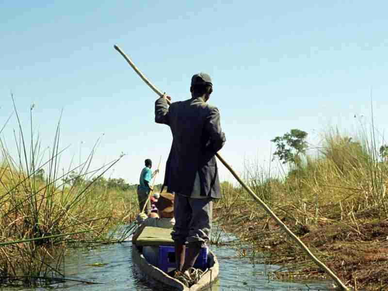 OKAVANGO DELTA, BOTSWANA - MAY 25 Mokoro man on 25 May 2002 at Botswana. Local people use wooden mokoros to transport tourists in the Okavango Delta