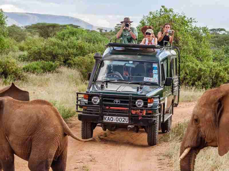 Safari, tips on a suitable clothing