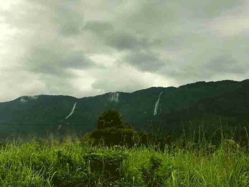 Mikumi and Udzungwa Mountains Safari