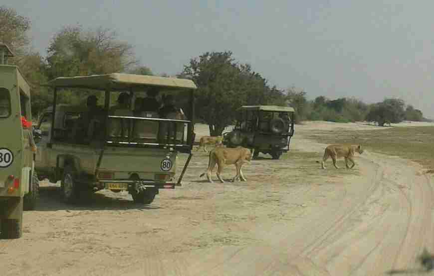 Chobe Full Day Trip from Livingstone/Victoria Falls including Return transfers & Buffet Lunch