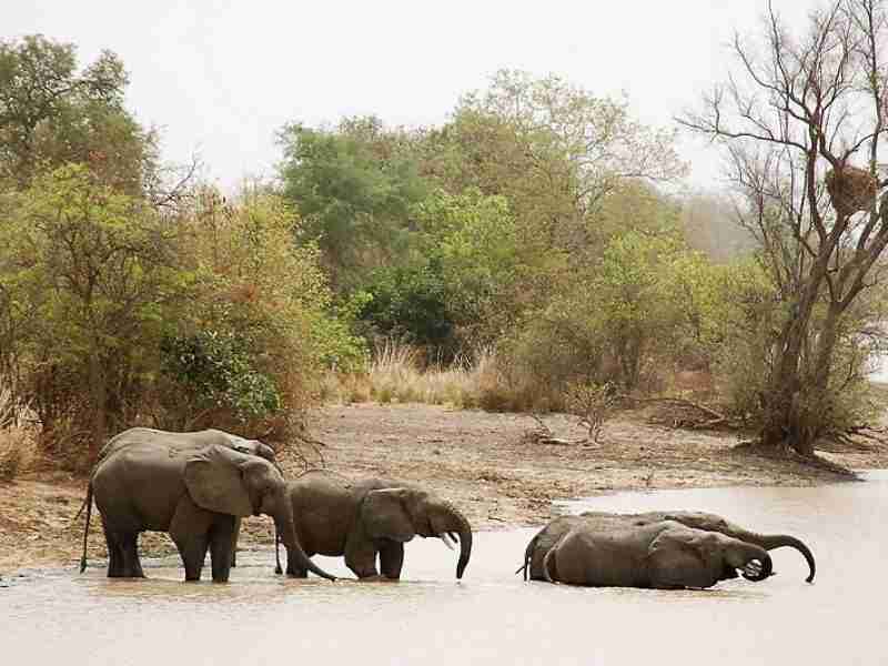 “W of the Niger” a transfrontier National Park