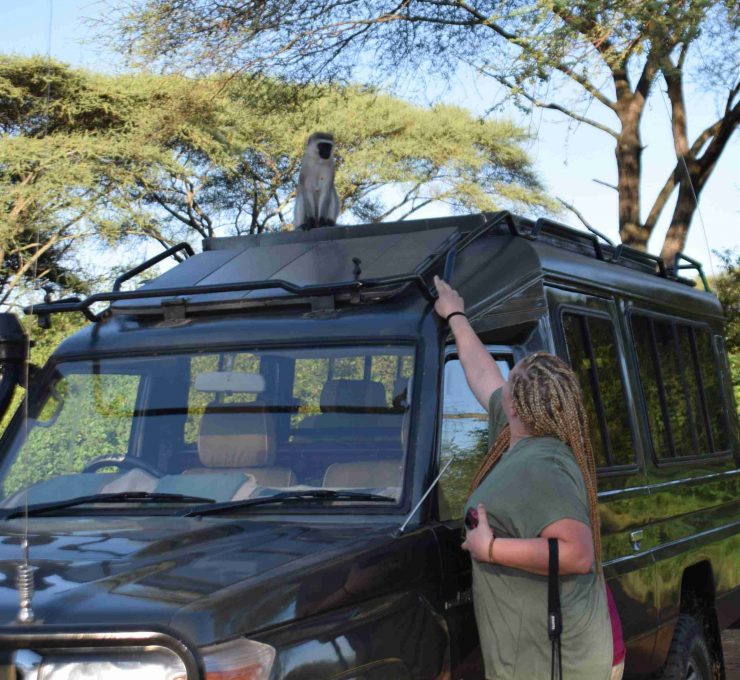 2 Days Wonders of the Serengeti