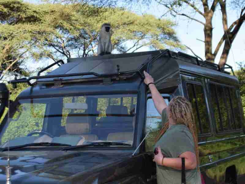 2 Days Wonders of the Serengeti