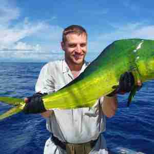 Sea fishing, catch of fish. Fisherman holding a dolphin fish