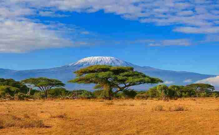 Kenya safari kilimanjaro amboseli masaai mara holiday