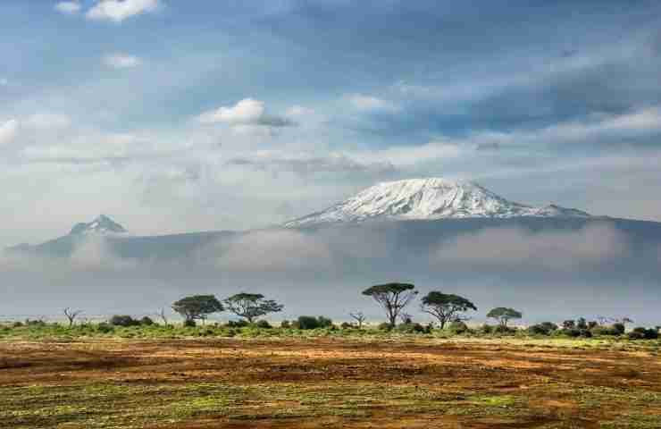 SERENGETI EVID