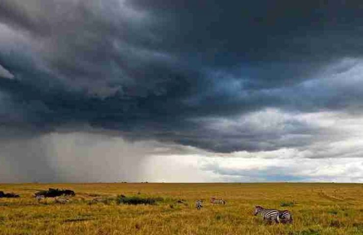 Benvenuti in Kenya