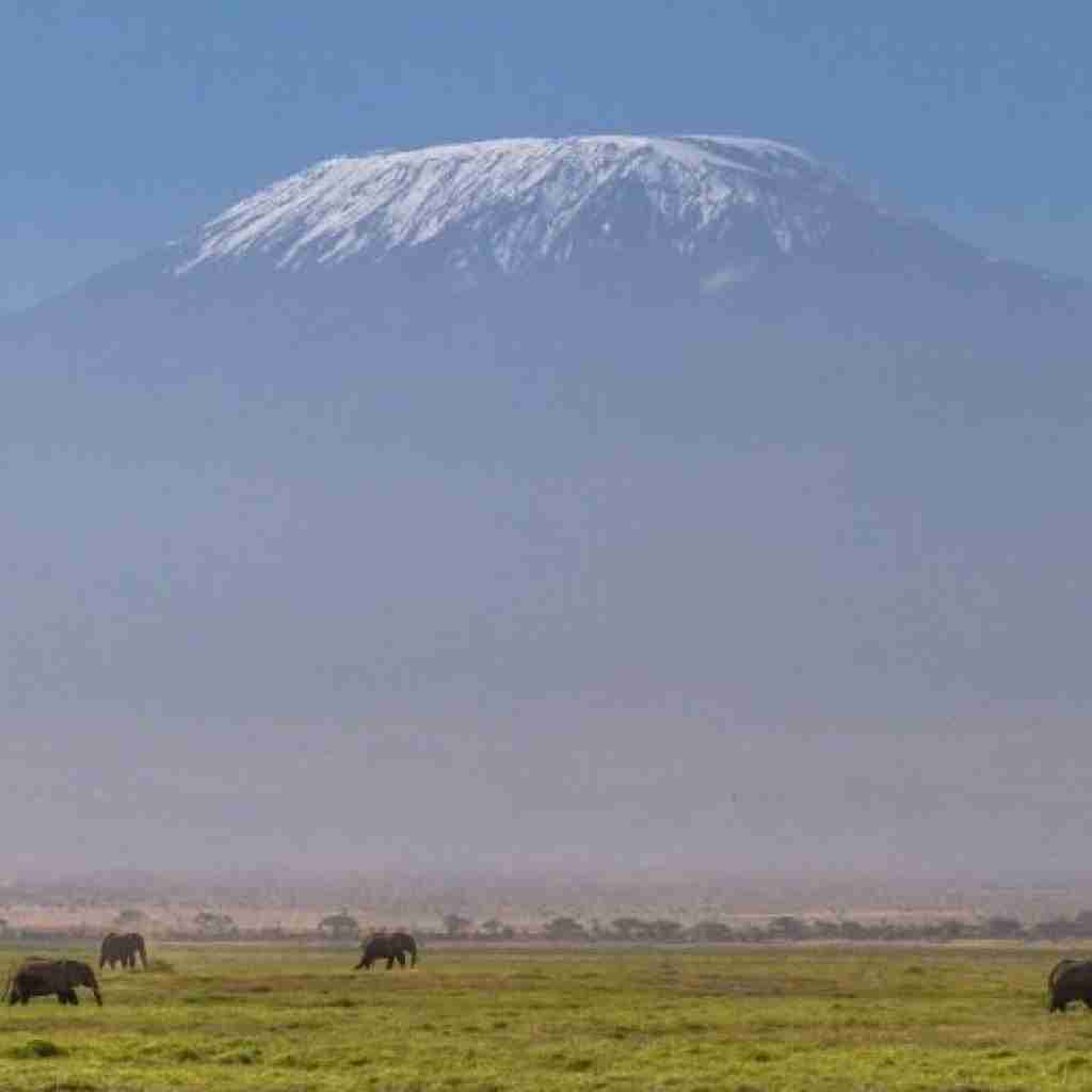 AMBOSELI 03