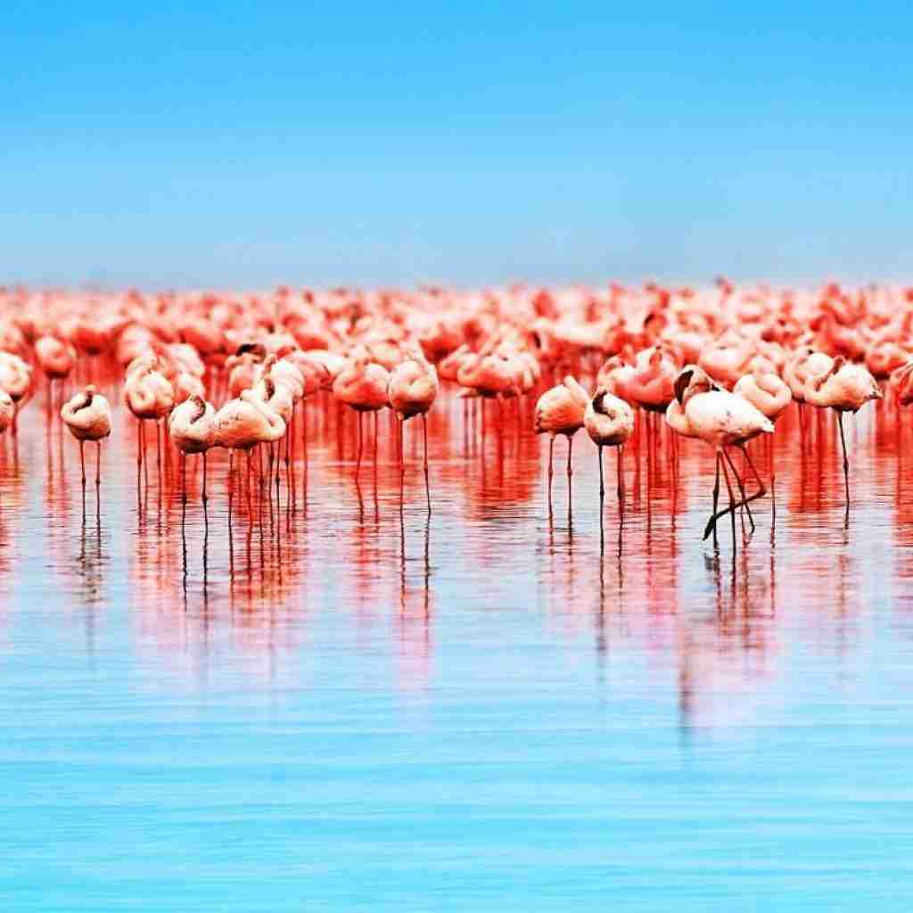 lago nakuru