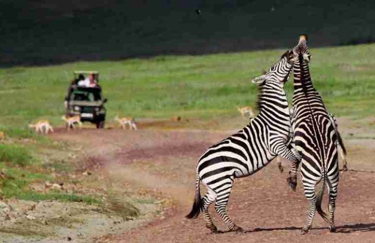 Parco Nazionale Monte Longonot