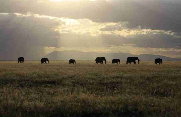 Monte Elgon, Parco Nazionale del Kenya