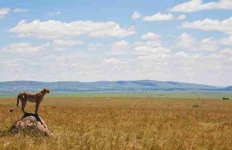 Parco Nazionale di Tsavo West