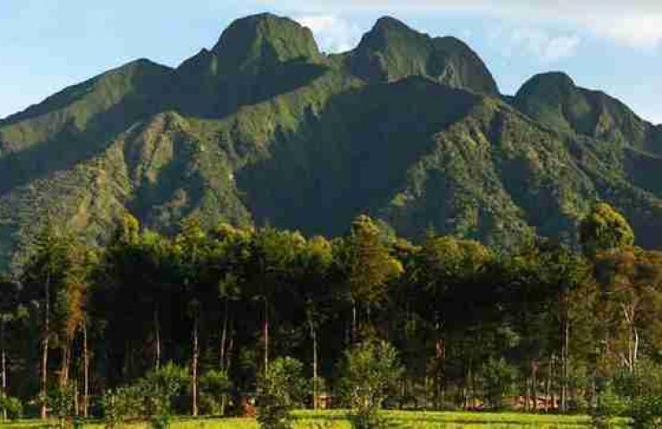 Il Parco Nazionale dei Vulcani in Ruanda