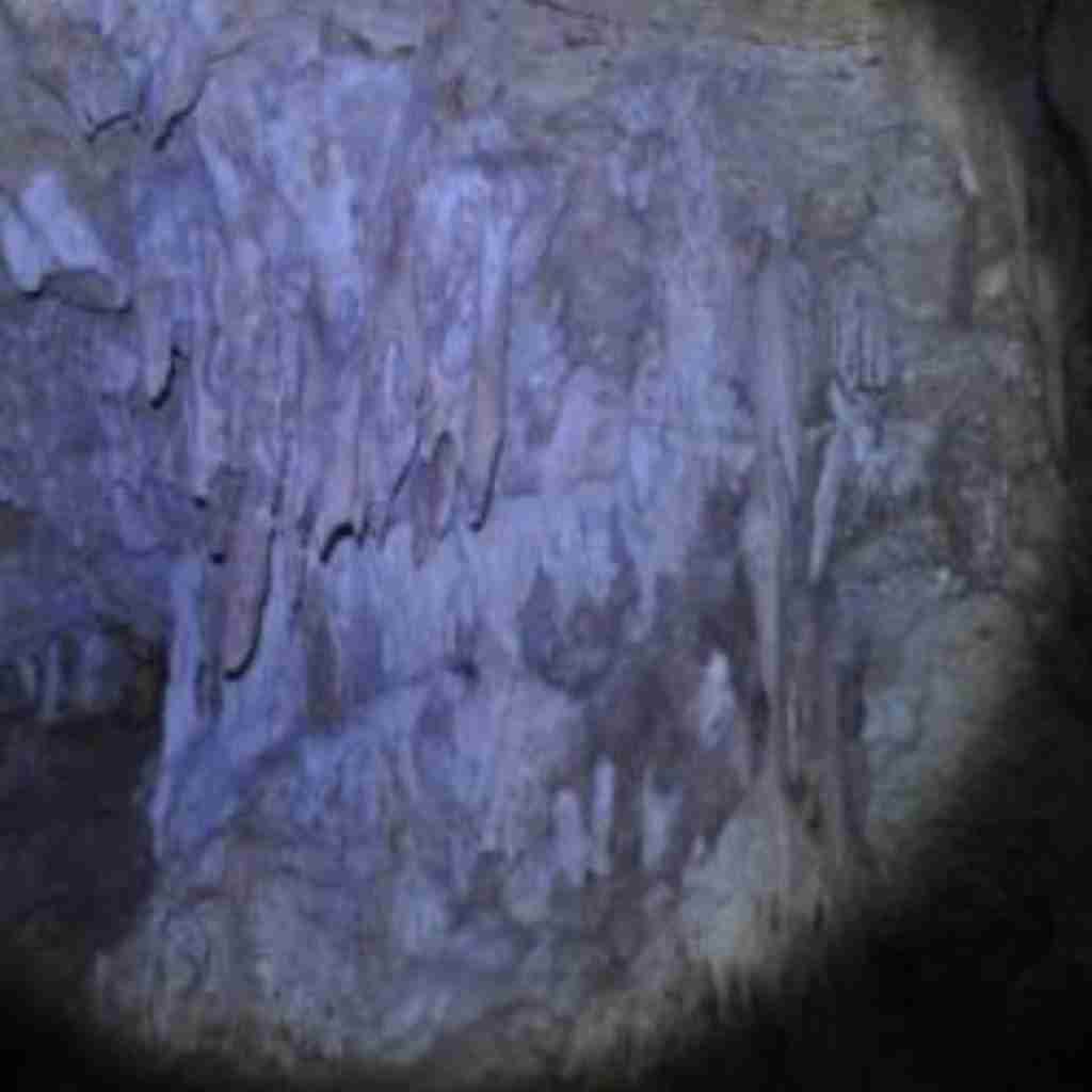 03 kinengwa 3