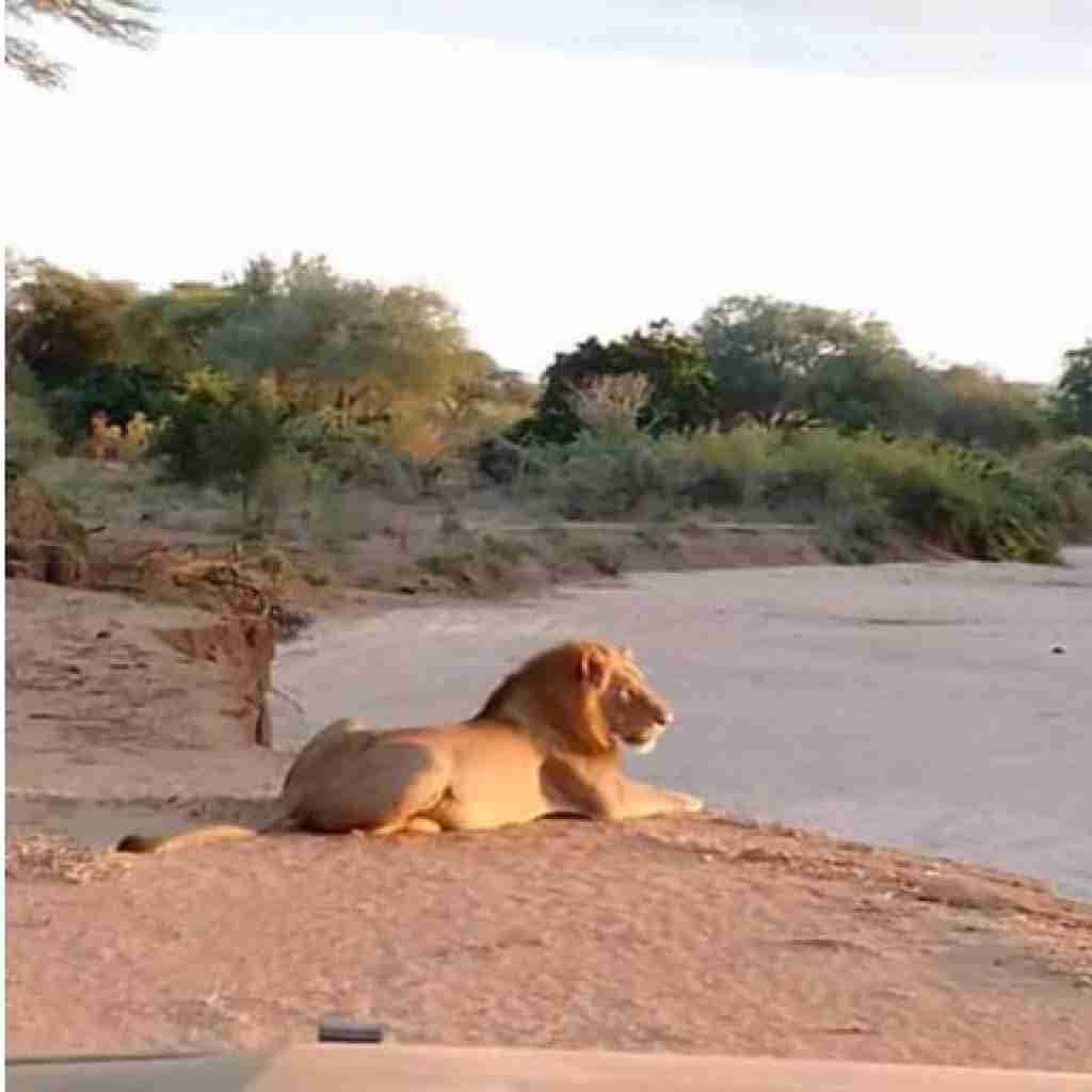 safari zambia2