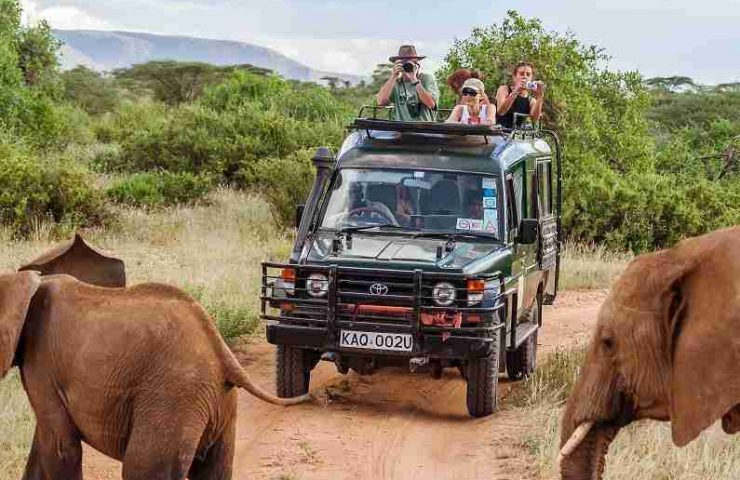 Safari, abbigliamento ideale