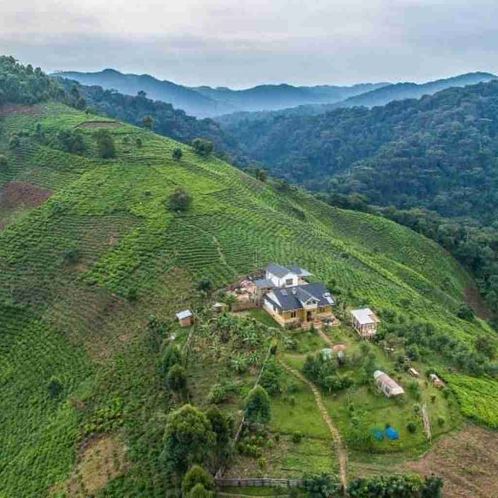 BWINDI HOTEL 2 