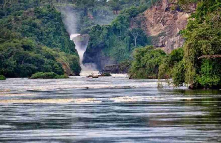MURCHISON