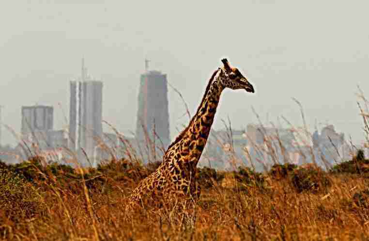 THE NEW WAY OF TRAVEL IN AFRICA