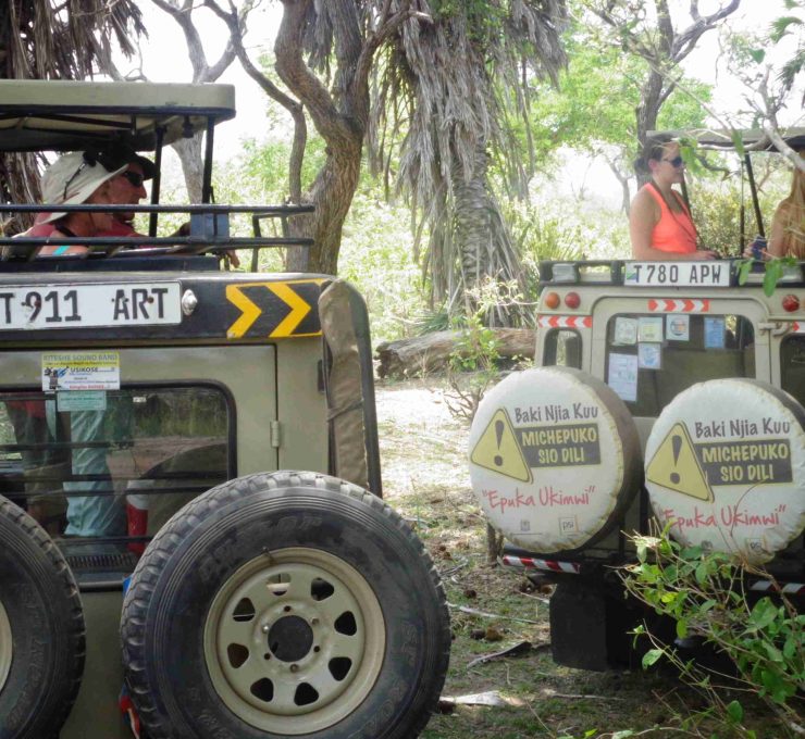 selous safari monda tours