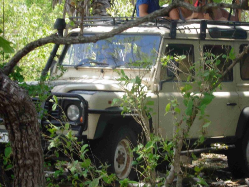 Mikumi safari monda tours