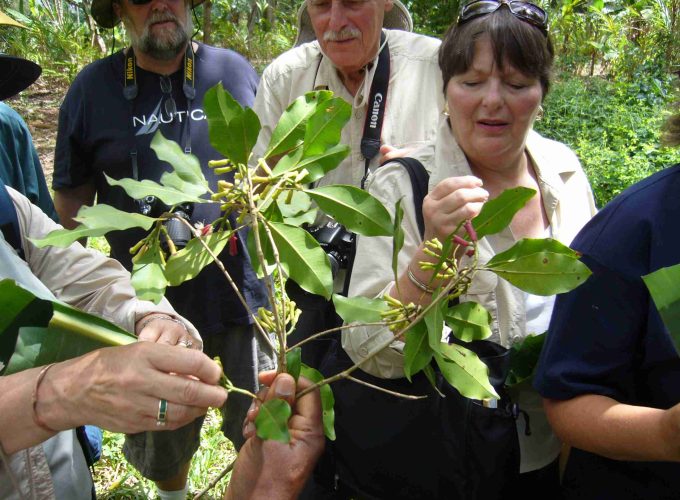 Spice farm tour zanzibar