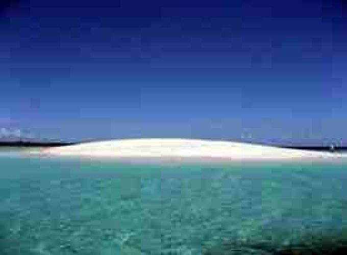 sandbank zanzibar monda tours