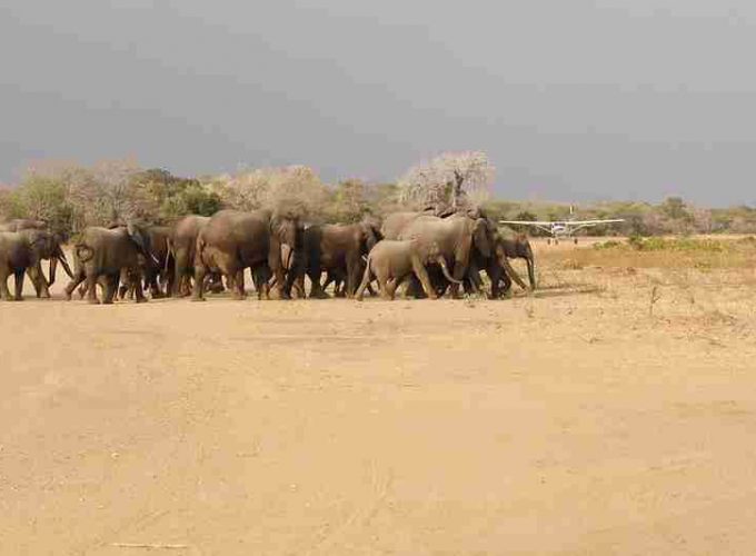 Safari tanzania, zanzibar, selous, mikumi, ngorongoro manyara serengeti (36)