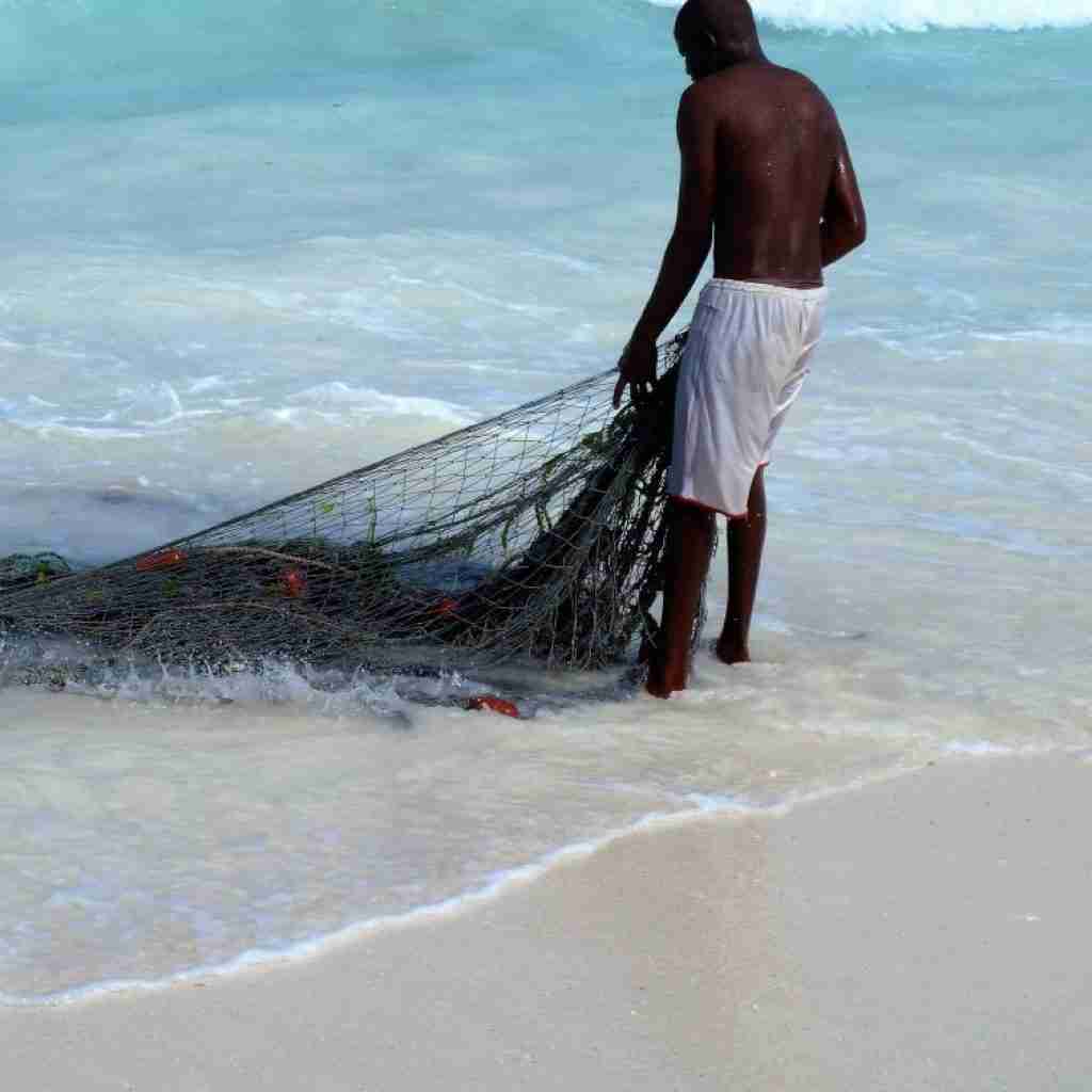 Le maree di Zanzibar