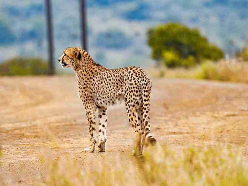 Top 10 Adventure Activities to Experience in Tanzania