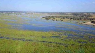 In Botswana, alla scoperta del Delta Interno dell’Okavango, il più grande del mondo