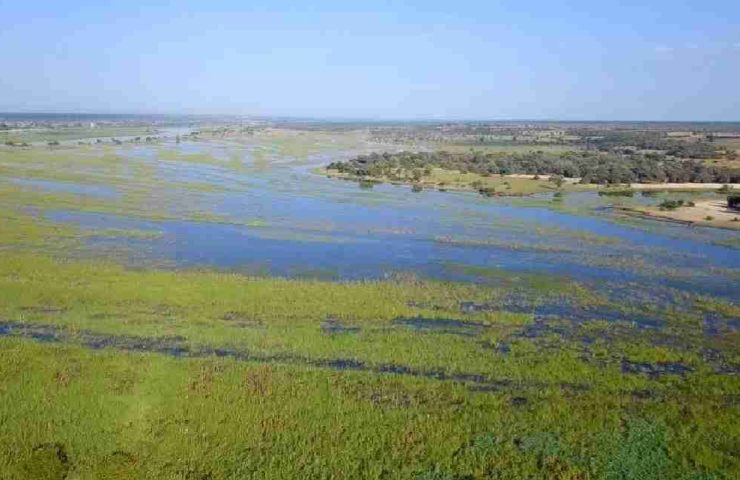 In Botswana, alla scoperta del Delta Interno dell’Okavango, il più grande del mondo