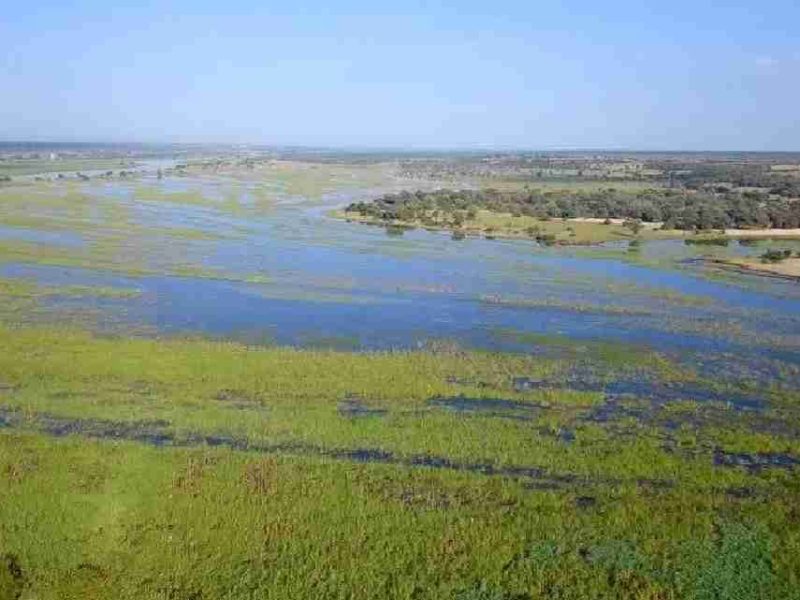 Botswana’s Okavango Delta: The World’s Largest Inland Delta and its Wonders