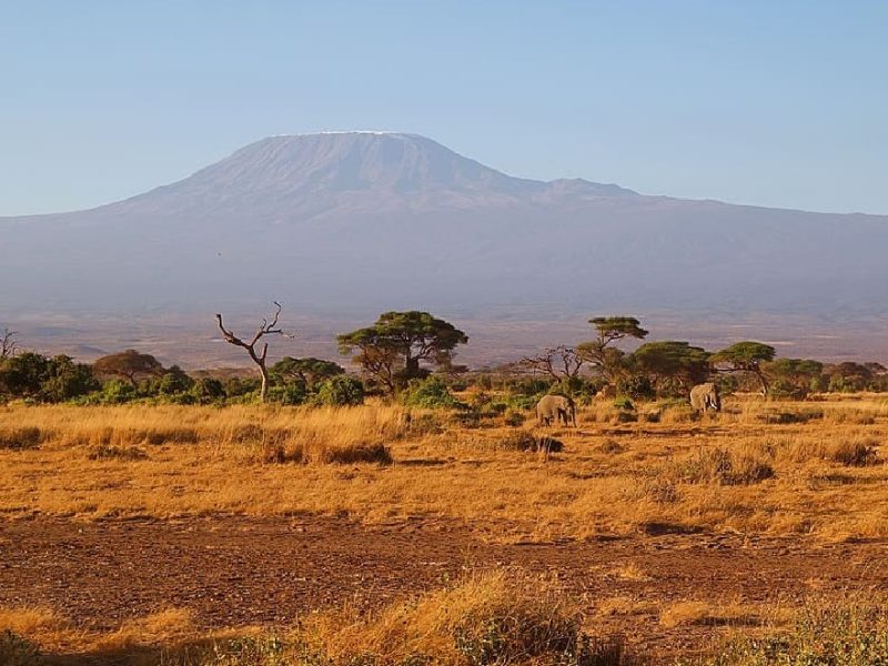 The Great Rift Valley: A Journey Through Kenya’s Spectacular Landscapes