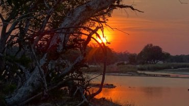 Esplorando la bellezza intatta del Parco Nazionale del Basso Zambesi, in Zambia