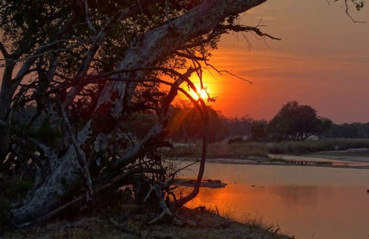 Esplorando la bellezza intatta del Parco Nazionale del Basso Zambesi, in Zambia