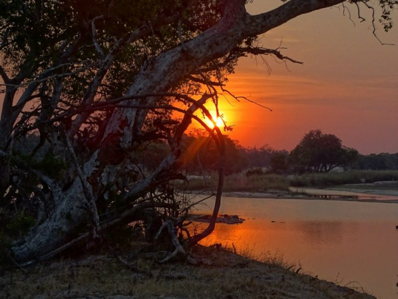 Esplorando la bellezza intatta del Parco Nazionale del Basso Zambesi, in Zambia